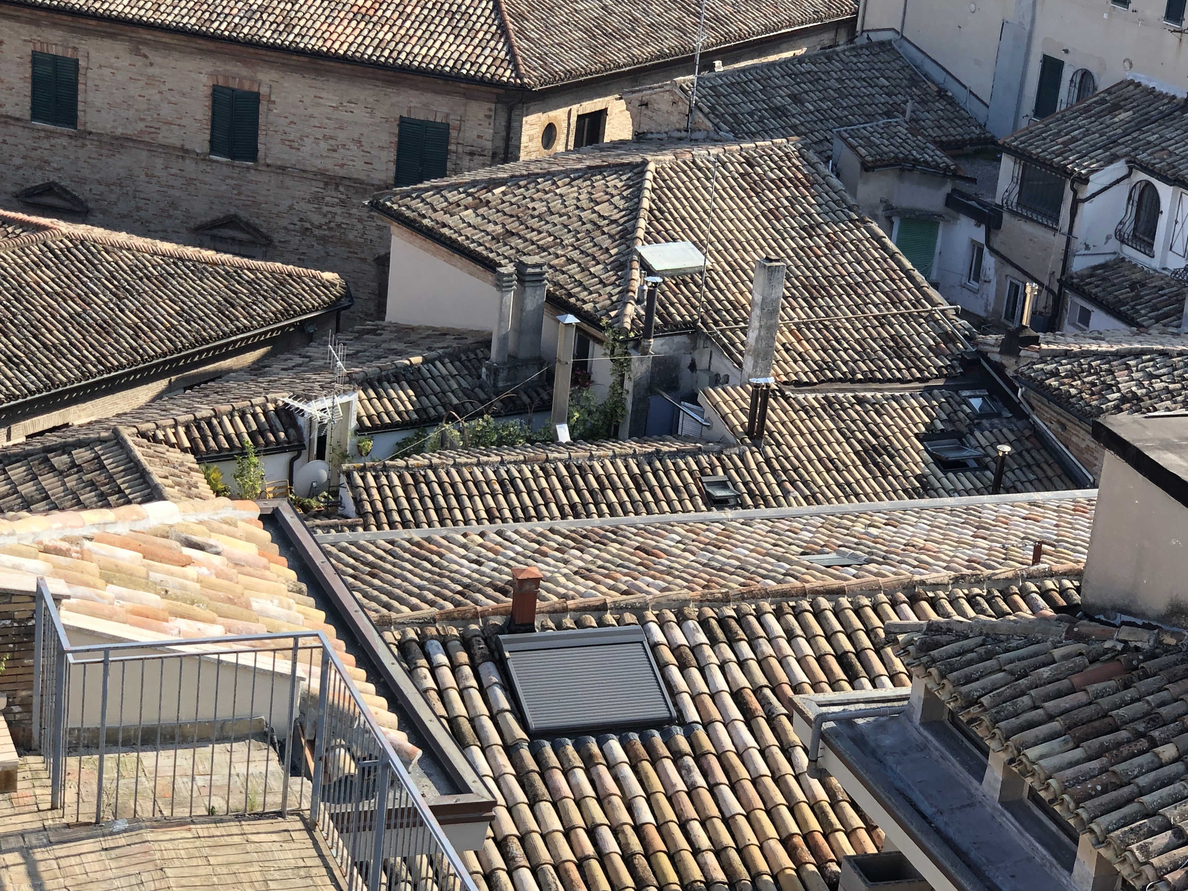 Immagine diapositiva