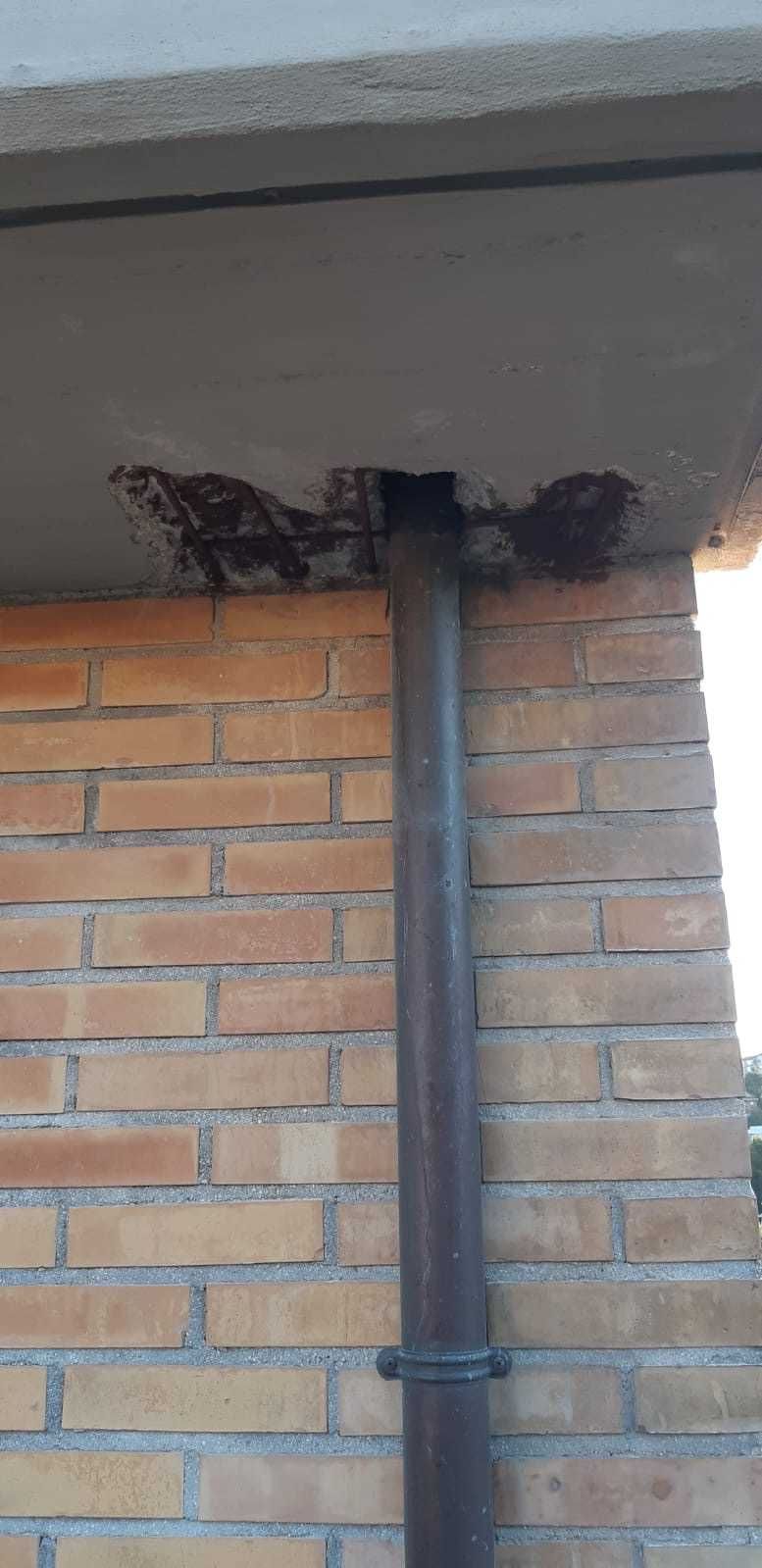 Immagine diapositiva