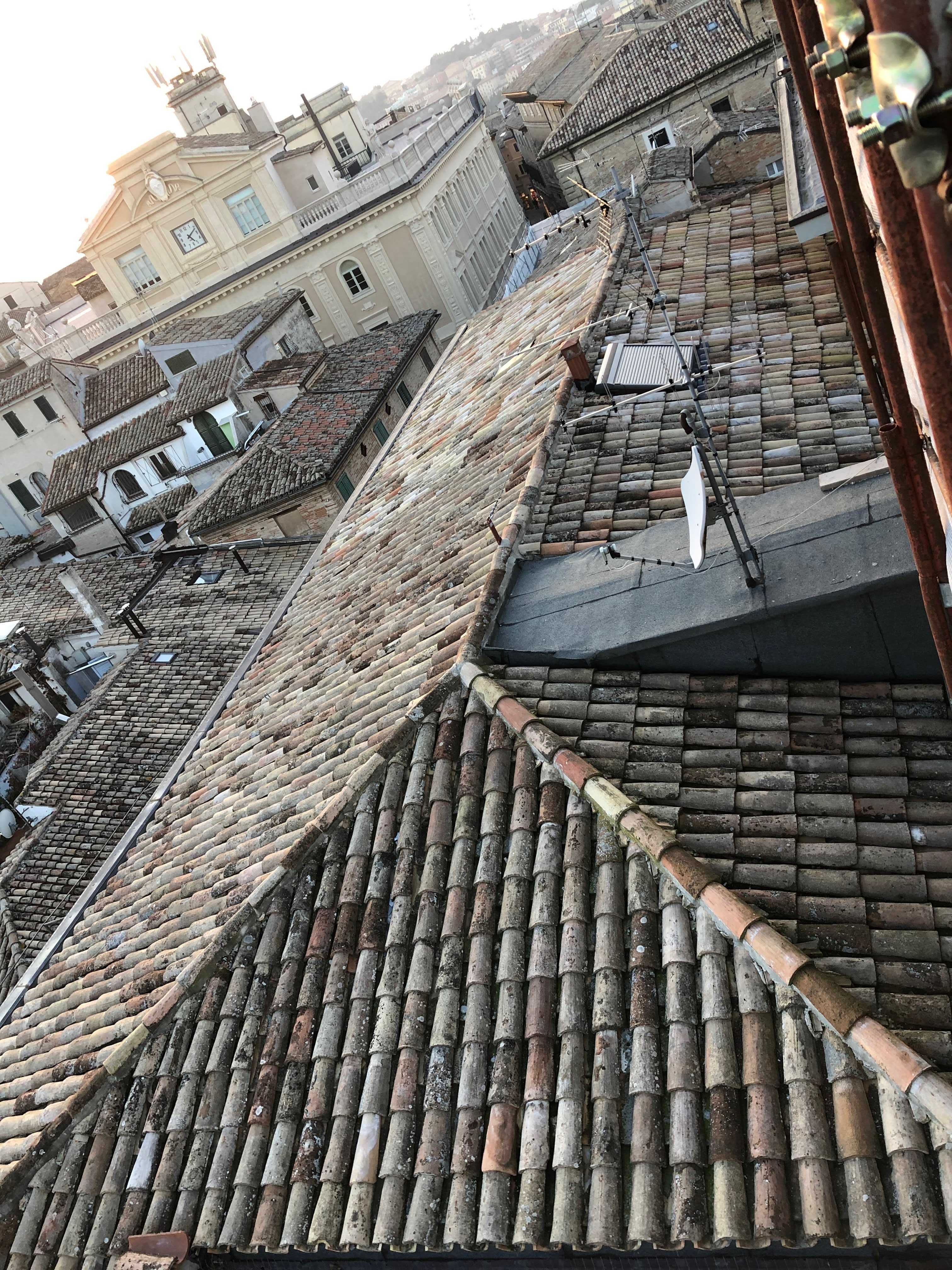 Immagine diapositiva